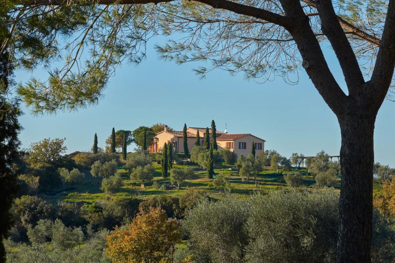 Poggio Tamantino, Villa Con Piscina In Maremma Poggio Cavallo Экстерьер фото