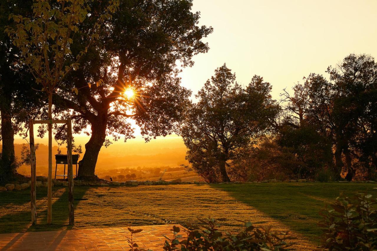 Poggio Tamantino, Villa Con Piscina In Maremma Poggio Cavallo Экстерьер фото